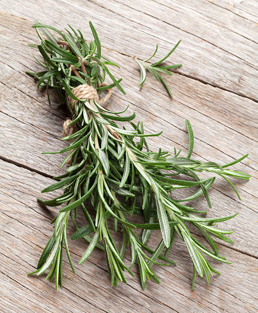 istock Fresh garden rosemary 491617280