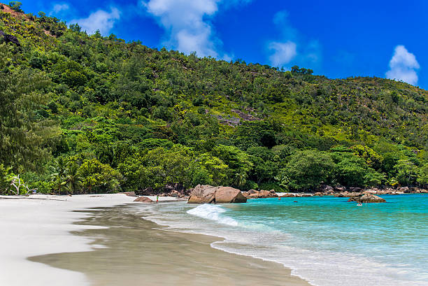 istock Tropical beach in Seychelles on island Praslin - Anse Lazio 491617998