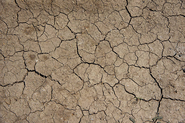 istock cracked clay ground at summer season 491618898