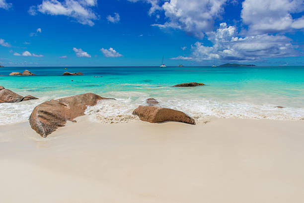 istock Tropical beach in Seychelles on island Praslin - Anse Lazio 491619172