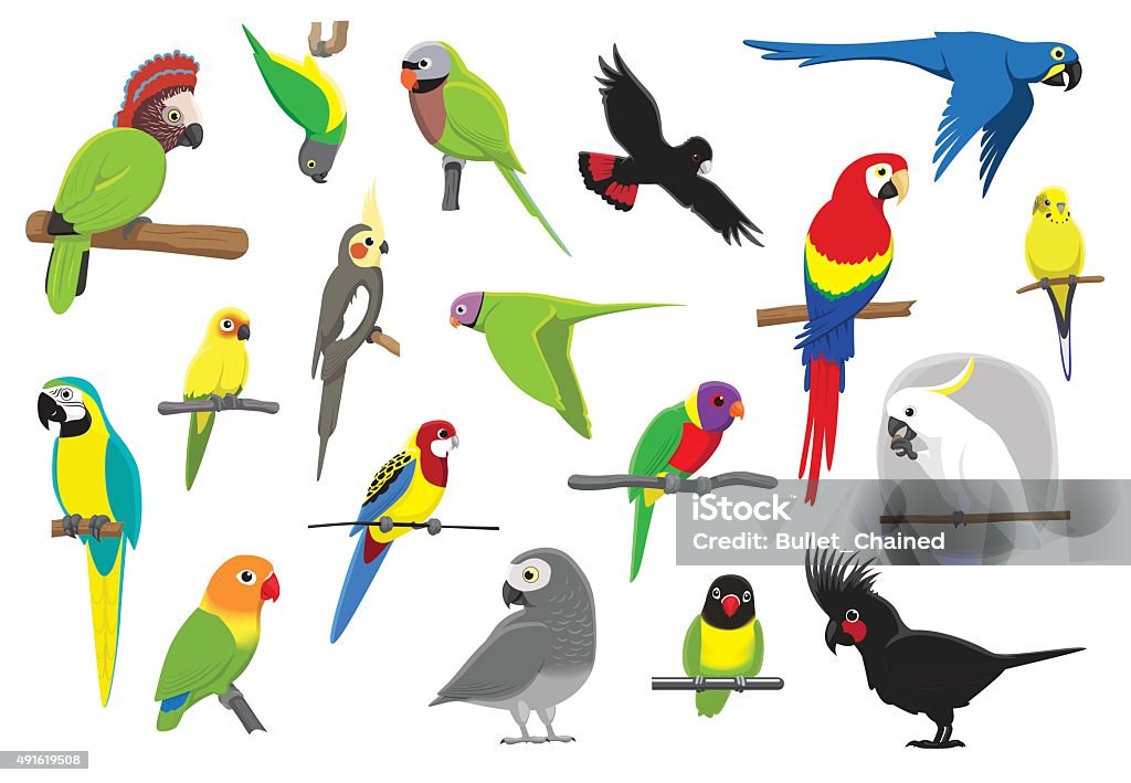 Various Parrots Cartoon Vector Illustration Parrot Cartoons EPS10 File Format. Parrot stock vector