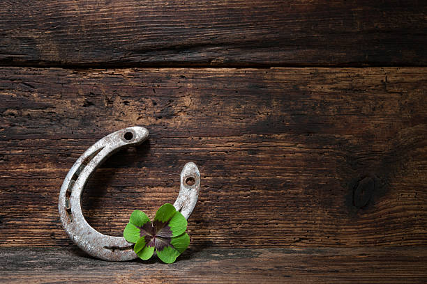 St. Patricks day, lucky charms St. Patricks day, lucky charms. Four leaved clover and a horseshoe on wooden board horseshoe horse luck good luck charm stock pictures, royalty-free photos & images