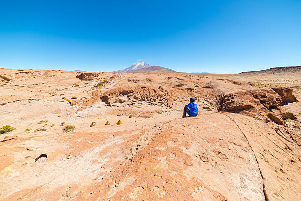 istock Tourist looking at steaming volcano on the Andes 491622376