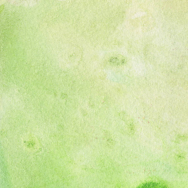 istock Hand painted pale background in lime green 491622456