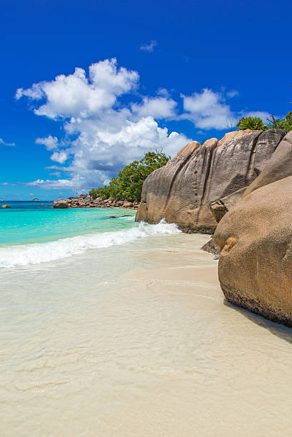 istock Tropical beach in Seychelles on island Praslin - Anse Lazio 491622564