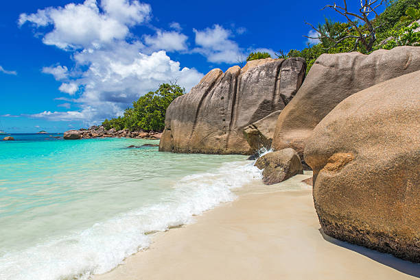 istock Tropical beach in Seychelles on island Praslin - Anse Lazio 491627830