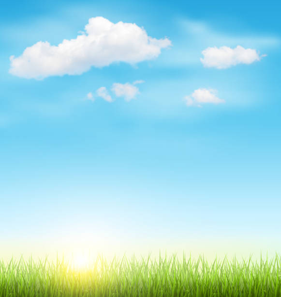 зеленая трава газон с clouds and sun on blue sky - cloud cloudscape sky blue stock illustrations