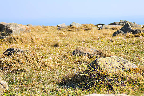 meadow com pedras do harz - witchcraft heights - fotografias e filmes do acervo