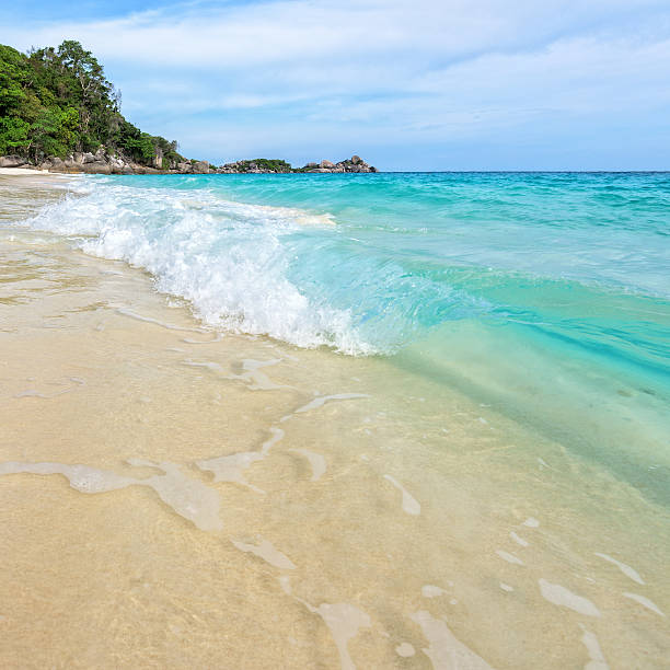 istock Beach and waves at Similan National Park in Thailand 491630136