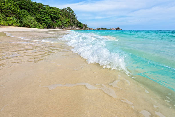 istock Beach and waves at Similan National Park in Thailand 491630290