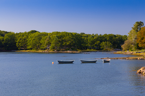 Row Boats in Evening, Grist Mill Pond, Kennebunkport, Maine. Green, red and yellow trees, shore and clear blue sky are in the image.
