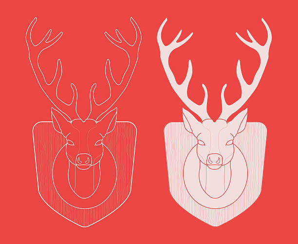 illustrazioni stock, clip art, cartoni animati e icone di tendenza di trofeo di caccia. tassidermia manichino testa di cervo - deer stag wall animal head