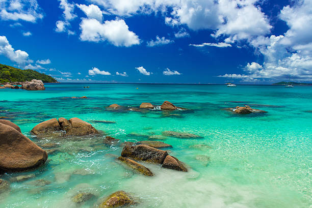 istock Tropical beach in Seychelles on island Praslin - Anse Lazio 491634804