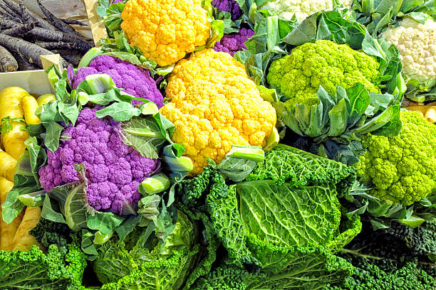 Autumn colourful veetables cauliflowers and cabbage Vegetable display of white, green, purple cauliflowers and cabbage cruciferous vegetables stock pictures, royalty-free photos & images