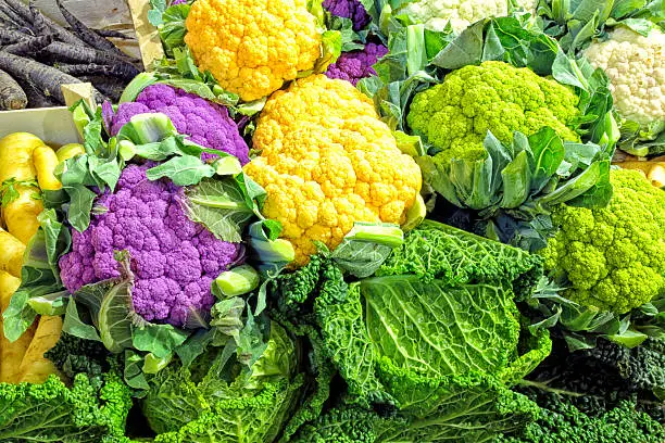 Vegetable display of white, green, purple cauliflowers and cabbage