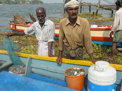 Kochi, India - January 16th, 2007: Unidentified Indian fishermen sell new crabs catch in bulk for dealers on January 16, 2007 in Kochi, Kerala, India.