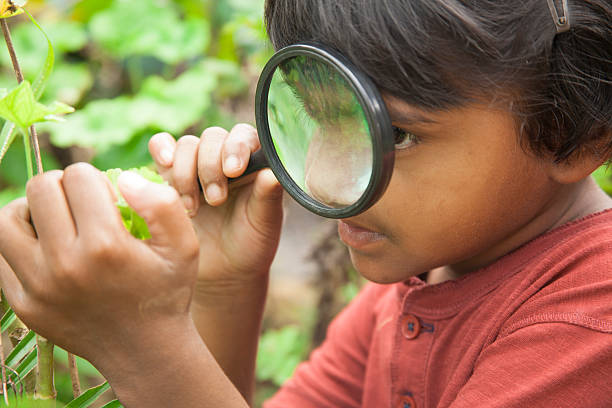 istock Elementary age girl enjoys discovering nature. Magnifying glass. 491645686