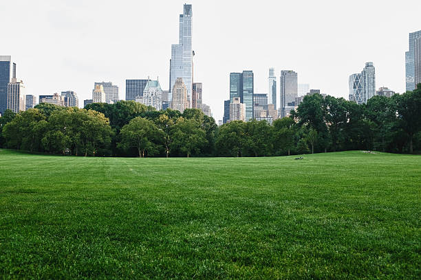 istock Central Park in New York City 491645856