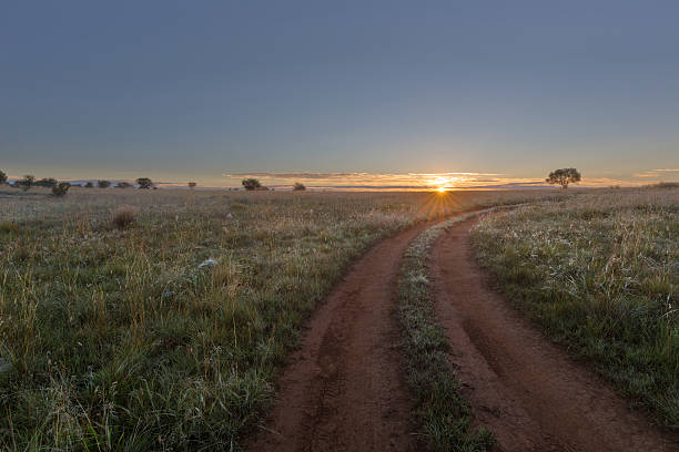 istock The road to the sun 491646716