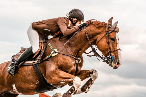 Close-up of horse with a rider jumping over a hurdle. The photo shows the moment when the horse passes over the hurdle. The female rider is raised in the saddle and leaning forward while the horse prances. The rider and the horse seem coordinated and synchronized. The girl wears a brown jacket that matches in color with the horse. In the background is the moody sky. The photo was taken in a training, but the rider has been equipped as for a competition.
