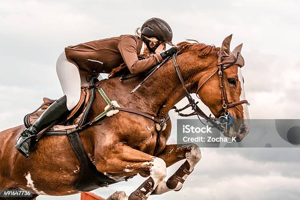 Show Jumping Horse With Rider Jumping Over Hurdle Stock Photo - Download Image Now