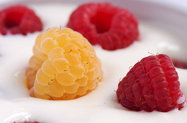 istock Delicious yogurt and fresh berries for breakfast 491647960