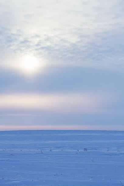 istock Cold Winter Landscape at Dusk 491655734