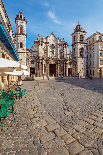 istock Cathedral of The Virgin Mary of the Immaculate Conception 491657732