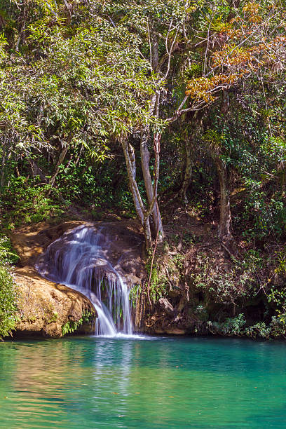 istock Waterfalls in Topes de Collantes, Cuba 491659058