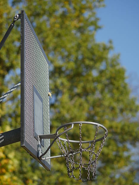 istock basketball basket outdoors 491659070