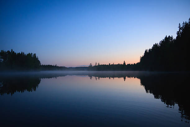 istock Calm lake scape at summer night 491659962