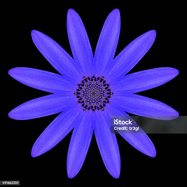 Blue Mandala Flower Kaleidoscope Isolated On Black Stock Photo - Download Image Now - Blue, Colors, Concentric