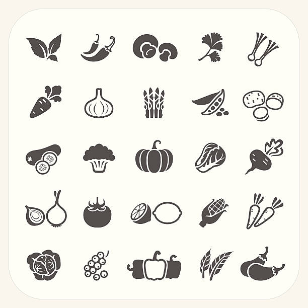 illustrations, cliparts, dessins animés et icônes de ensemble d'icônes de légumes - onion vegetable food freshness