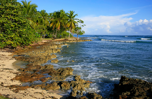 Las Galeras beach, Samana peninsula, Dominican Republic