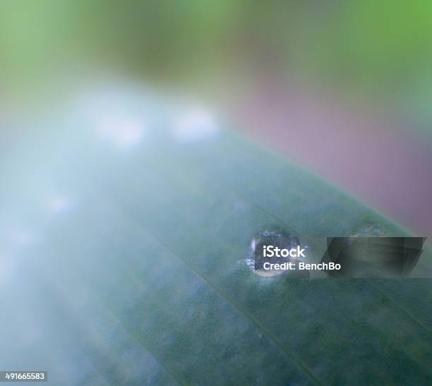 Morning Stock Photo - Download Image Now - Backgrounds, Colors, Defocused