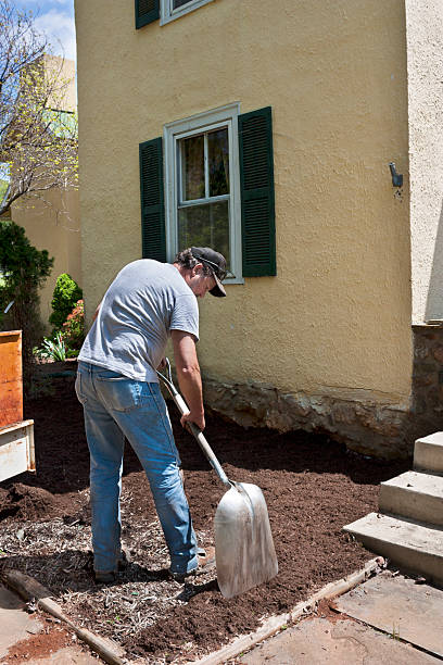 istock Man with shovel landscaping 491667121
