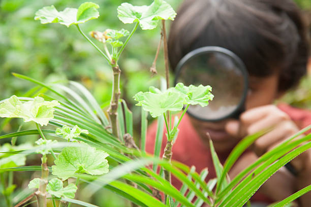 istock Elementary age girl enjoys discovering nature. Magnifying glass. 491667692