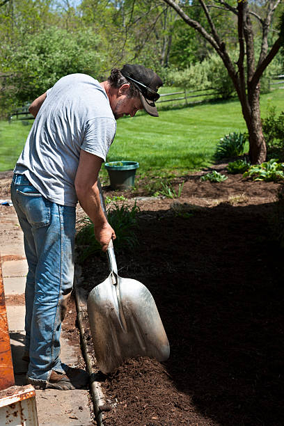 istock Man with shovel landscaping 491668387