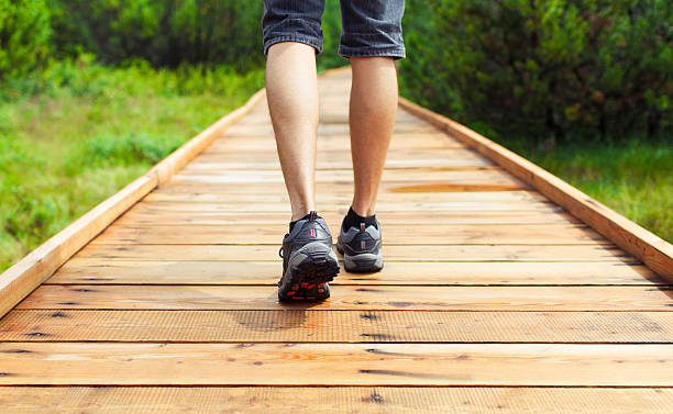 istock Male going for a walk through nature 491668690