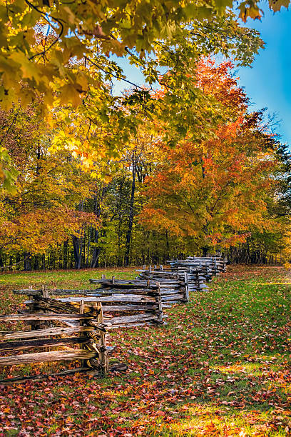istock Autumnal Fence 491668842
