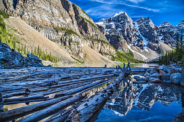 istock Logs of Moraine Lake 491671346