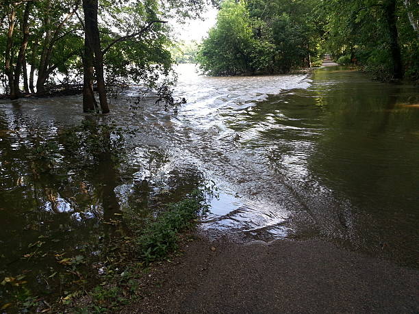 istock shady Flooded Road 491674242