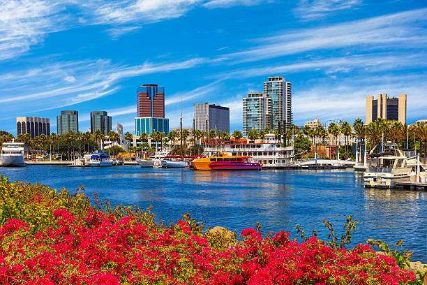 Skyscrapers of Long Beach skyline,harbor,boats,spring,California Rainbow Harbor at Long Beach Marina with spring flowers in foreground leading back to moored yachats in below  the city skyline, California long beach california photos stock pictures, royalty-free photos & images
