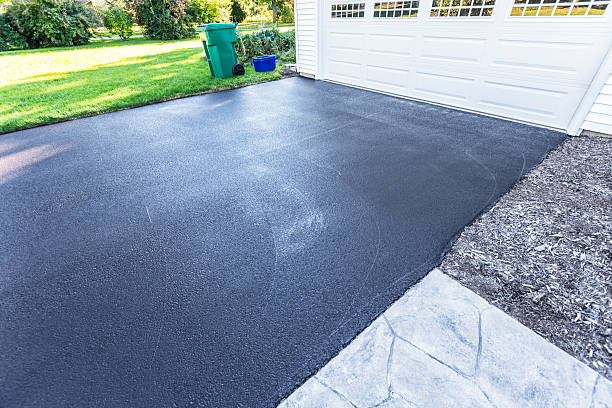 Newly Blacktop Sealed Asphalt Driveway A fresh blacktop resealing job just finished on this asphalt driveway in a suburban residential district. The black sealant is still wet; needing at least 24 hours to dry. driveway stock pictures, royalty-free photos & images