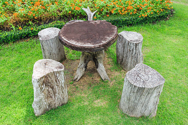 istock Table and chair in garden 491678961