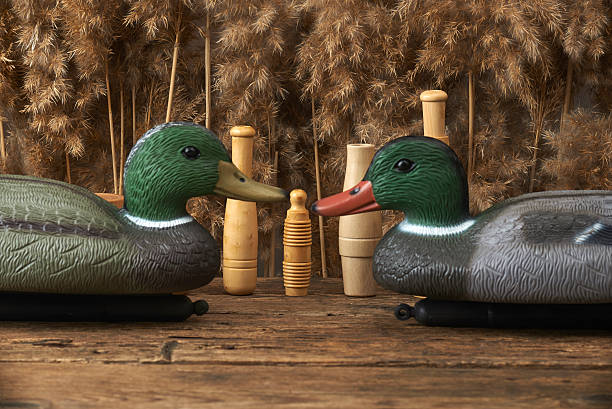 istock duck decoys and whistles 491680145