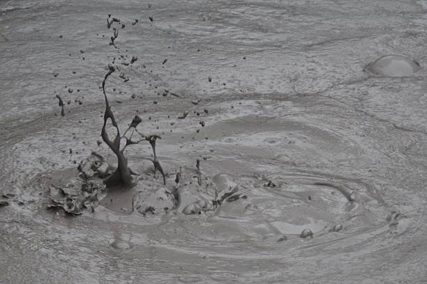istock Boiling mud pool, Rotorua, New Zealand 491680263