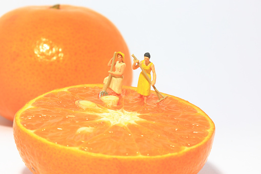 Two women(miniature) working on orange.Shallow depth of field composition.