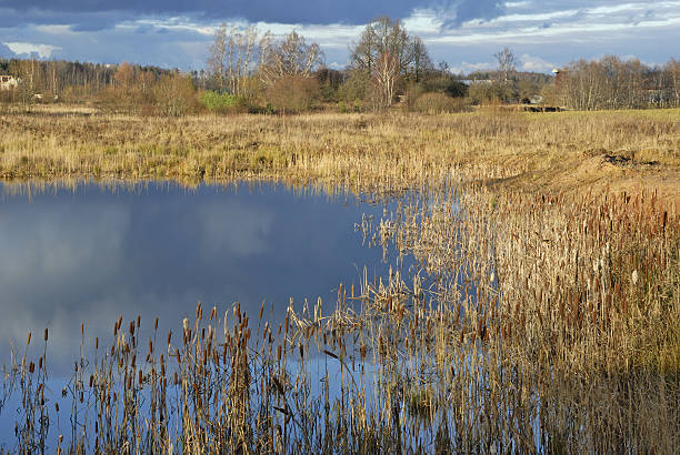 istock Kekava neighborhood. Latvia 491682355