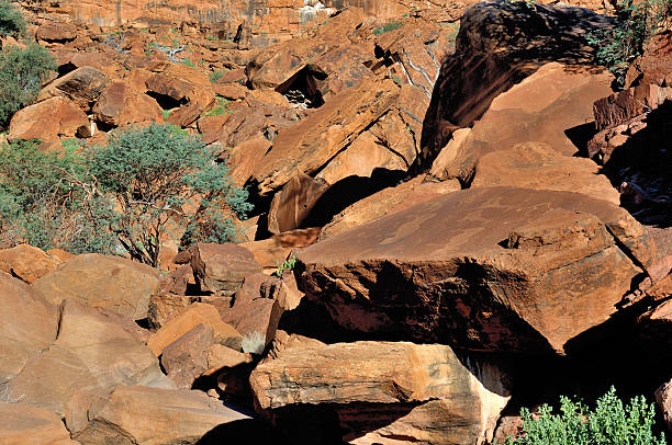 istock Rock engravings at Twyfelfontein, Namibia 491683781